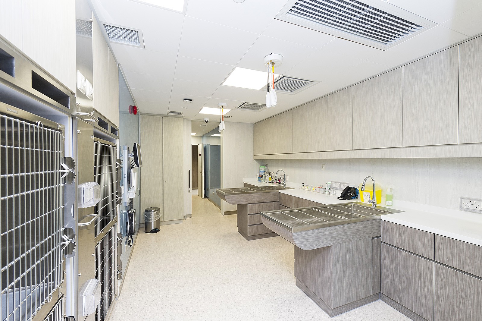 The wards are carefully designed to cater for the needs of hospitalised animals.