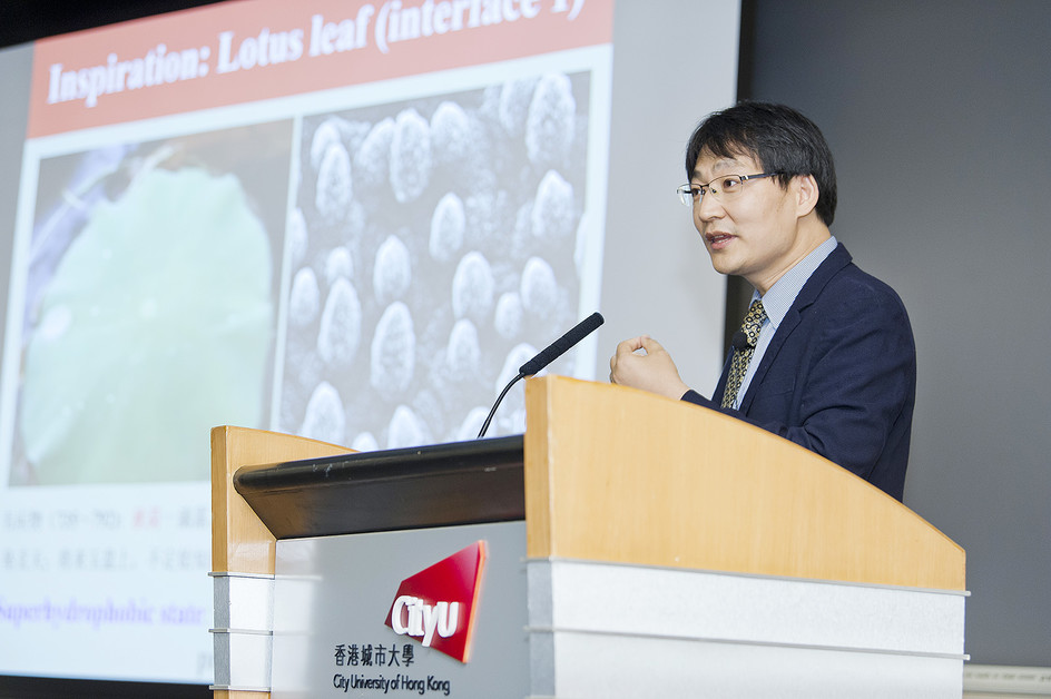 Professor Wang Zuankai